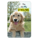 Search for fences magnets Dog