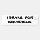 Search for i brake for squirrels bumper stickers Nature