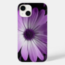 Search for purple daisy iphone cases Nature