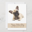 Search for bulldog fathers day cards Frenchie