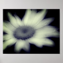 Recherche de élever posters Noir et blanc