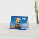 Search for boys 16th birthday cards Teen boy