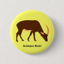Search for antelopes buttons Africa