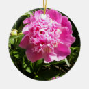 Search for peony ornaments Flowers