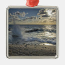 Search for caribbean ornaments Seascape