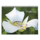 Search for pencil calendars Nature
