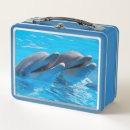 Search for dolphin lunch boxes Nature