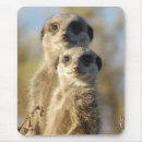 Search for mate mousepads Cute