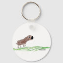 Search for capybara keychains Kids