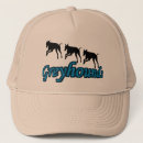 Search for dog running hats Animal