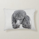 Search for standard poodle pillows Puppy