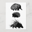 Recherche de monochrome cartes postales Animal