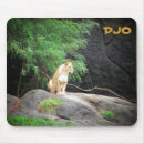 Search for lion mousepads Zoo
