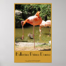 Recherche de ballerina posters Beau