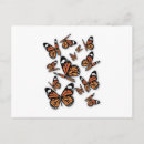 Recherche de papillons vol cartes postales Insecte