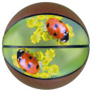 Recherche de fleur ballons basket Plante