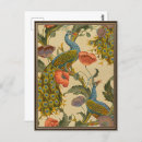 Search for art nouveau peacock postcards Vintage