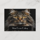 Recherche de chat grandes cartes visite Soin des animaux
