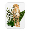 Recherche de chat sauvage magnets Faune