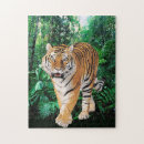 Recherche de tigre bengale puzzles Nature