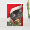 Search for pug gifts Puggle