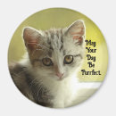 Recherche de parfait magnets Pour tous