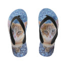 Recherche de chaton tongs Mignon