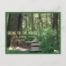 Recherche de woods photographie Nature