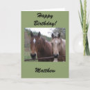 Recherche de aqha Chevaux