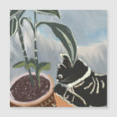 Search for tabby cards magnets Animal