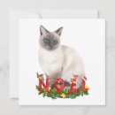 Search for siamese cat christmas cards Watercolor