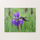 Recherche de rubis throated Nature