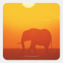 Search for african sunset stickers Wildlife