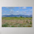 Search for serene landscape posters Meadow