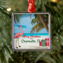 Search for clearwater beach ornaments Virginia5050