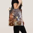 Search for red tail bags Red tailed hawk