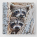 Search for danita delimont clocks Carnivore