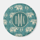 Search for monogram magnets Animal