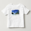 Search for palau tshirts Rock islands