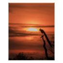 Recherche de levers soleil posters Tropical