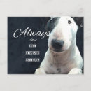 Search for loves photocards Friendship