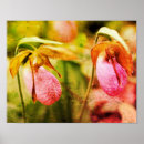Search for slippers art Floral
