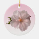 Search for cherry ornaments flower