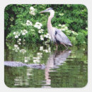 Search for great heron stickers Animal