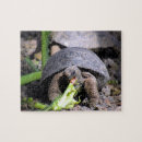 Search for galapagos puzzles Turtle