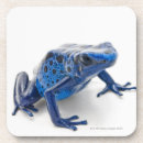 Search for dart coasters Shells