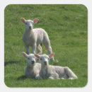 Search for triplets stickers Cute