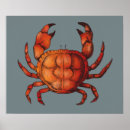 Recherche de homard posters Plage