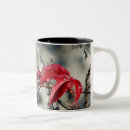 Recherche de feuille rouge tasses Botanique