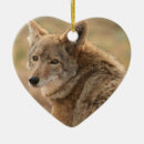 Search for coyote ornaments Wildlife